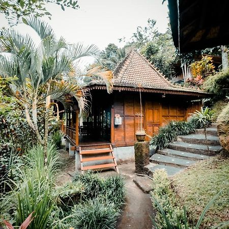 Ubud Jungle Holy Water エクステリア 写真