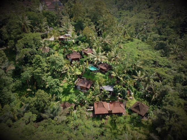 Ubud Jungle Holy Water エクステリア 写真